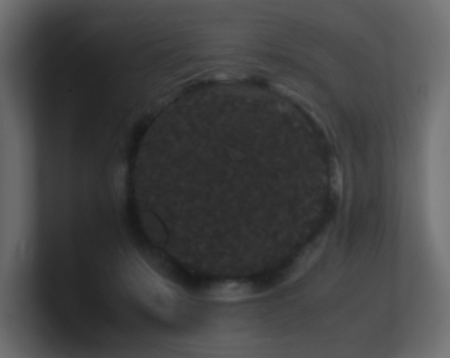 X0000101100319200806261518