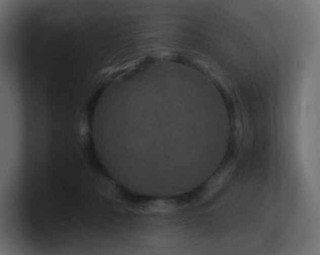 X0000101100320200806261518