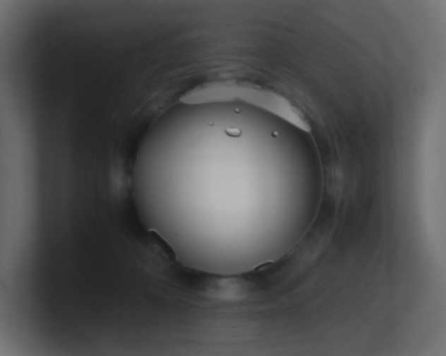 X0000101100324200806261518