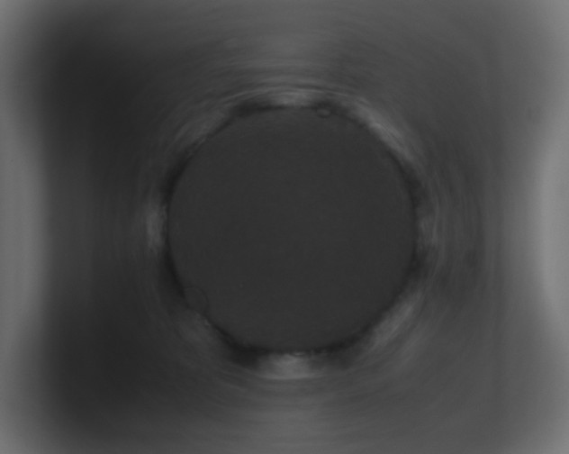 X0000101100325200806261518