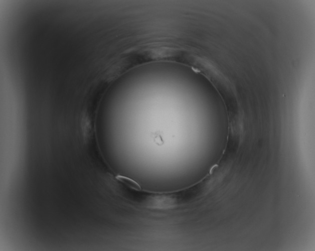 X0000101100327200806261518