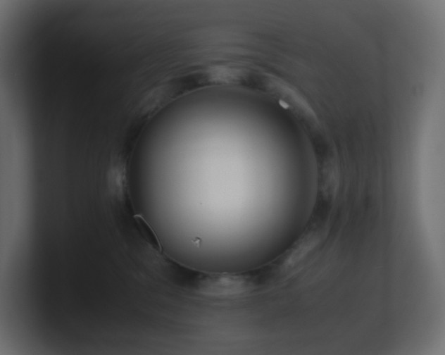 X0000101100329200806261518