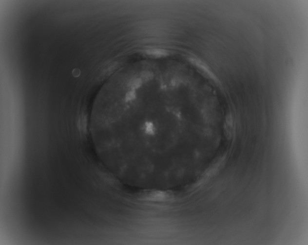 X0000101100330200806261518