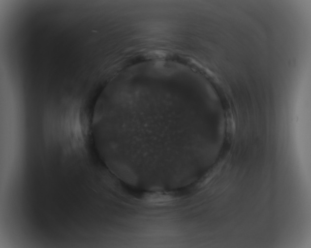 X0000101100331200806261518