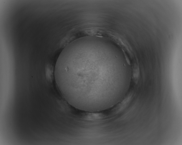 X0000101100332200806261518