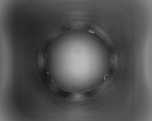 X0000101100333200806261518