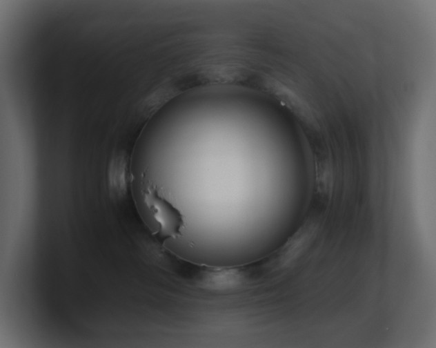 X0000101100334200806261518