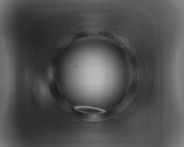 X0000101100335200806261518