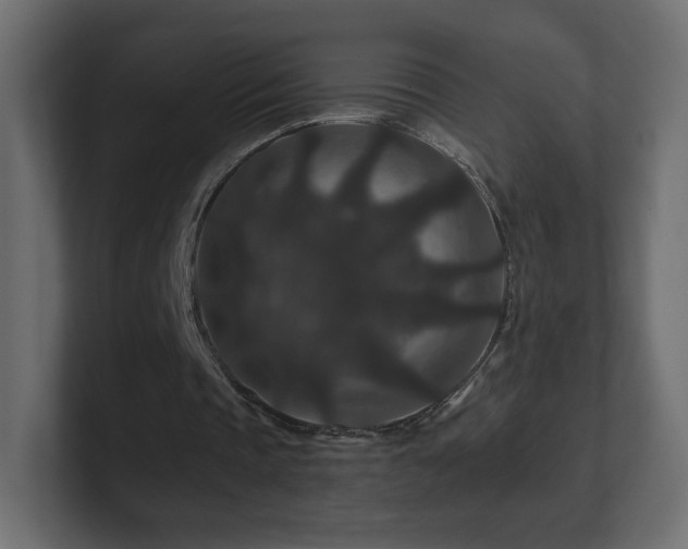 X0000101100337200806261517