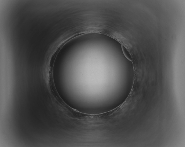 X0000101100338200806261517