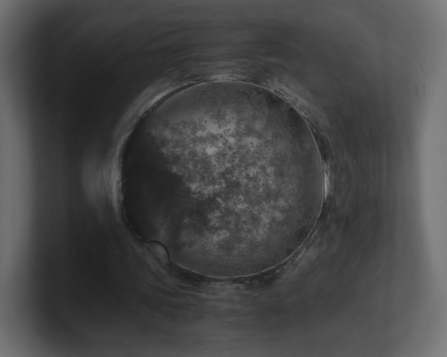 X0000101100339200806261517
