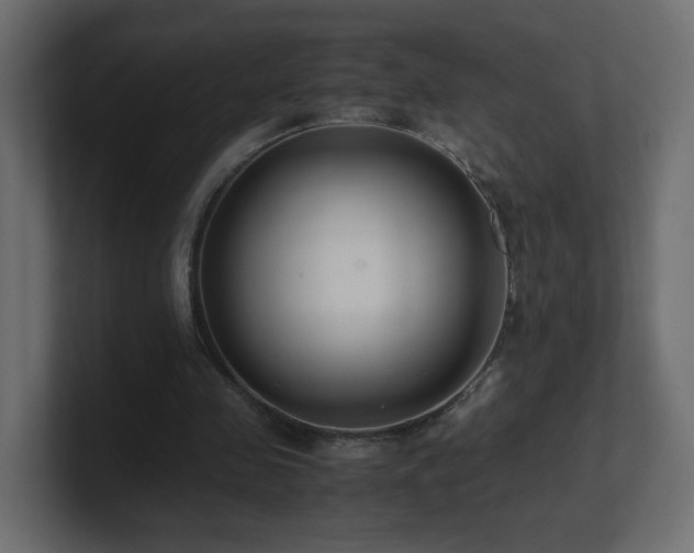 X0000101100341200806261517