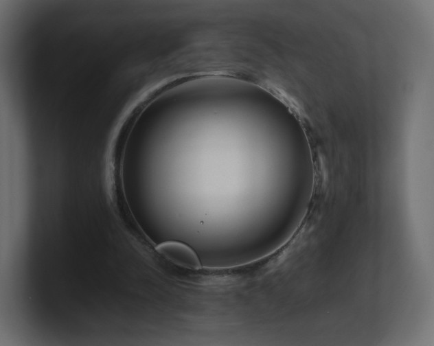 X0000101100342200806261517