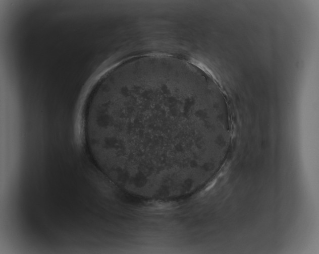 X0000101100343200806261517