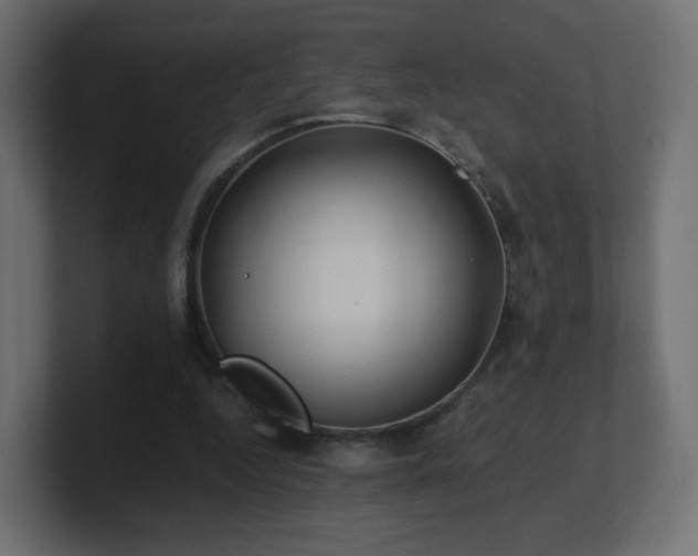 X0000101100344200806261517