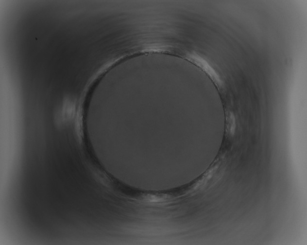X0000101100346200806261517