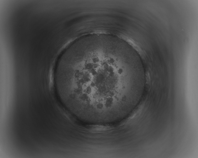 X0000101100347200806261517
