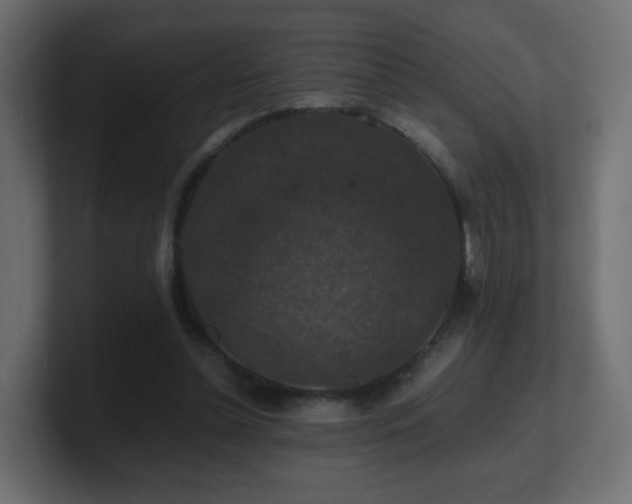 X0000101100348200806261517