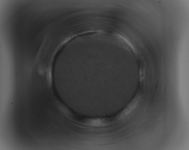 X0000101100349200806261517