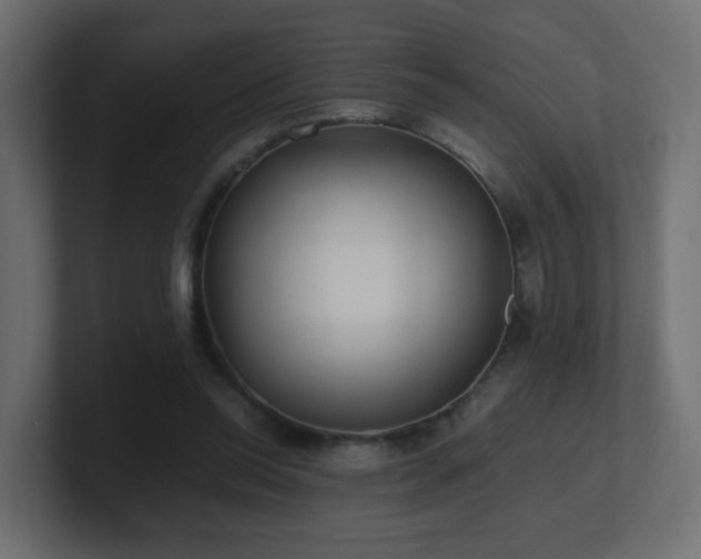X0000101100350200806261517