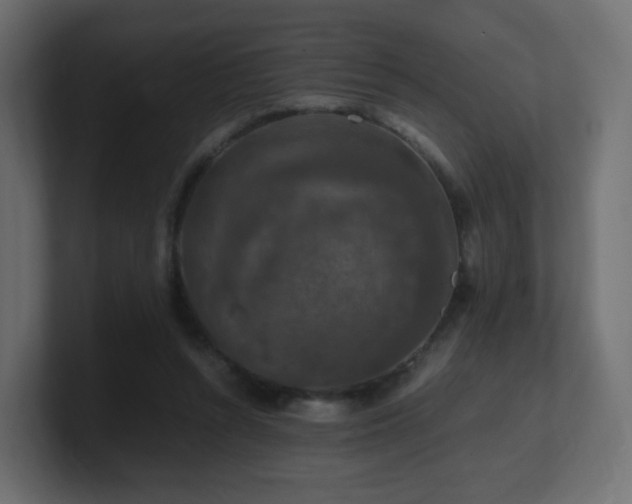 X0000101100352200806261517