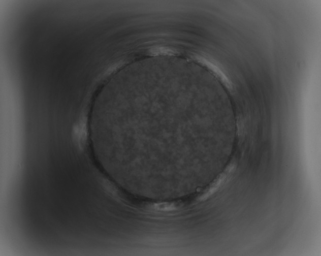 X0000101100353200806261517