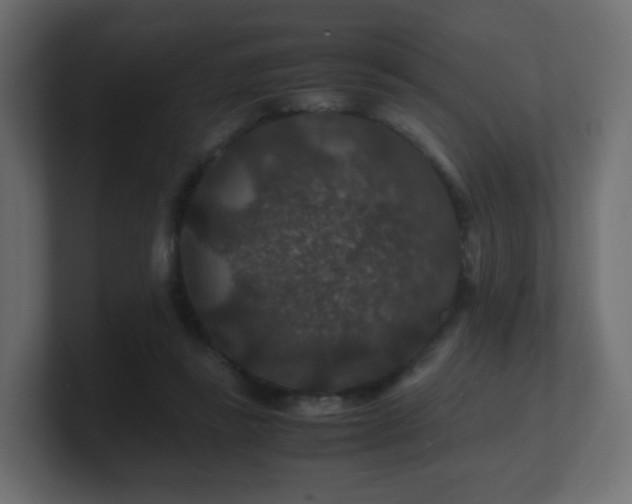 X0000101100355200806261517