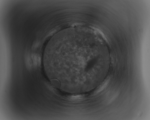 X0000101100357200806261517