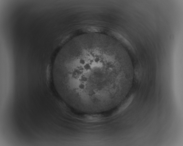 X0000101100359200806261517
