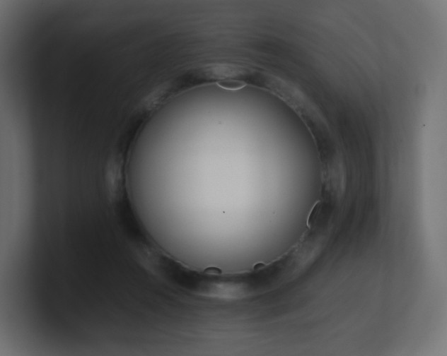 X0000101100360200806261517