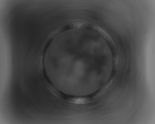 X0000101100361200806261517