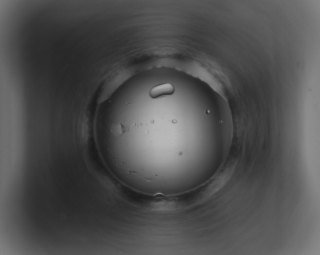 X0000101100362200806261517