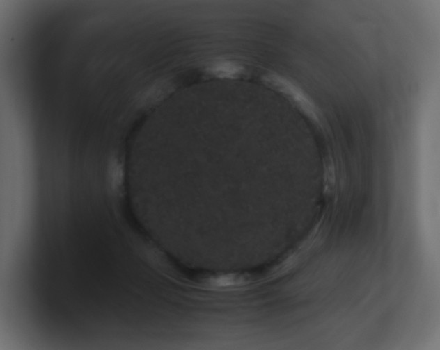 X0000101100365200806261517