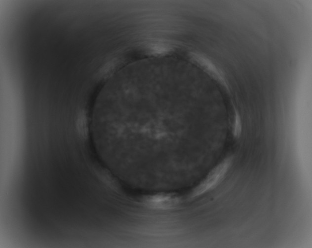 X0000101100366200806261517