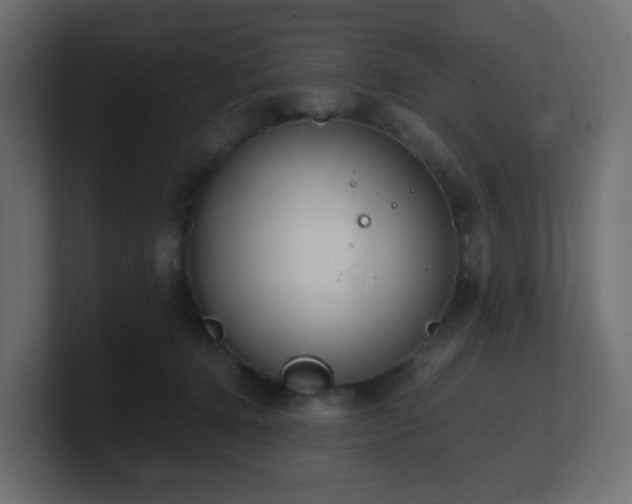 X0000101100368200806261517
