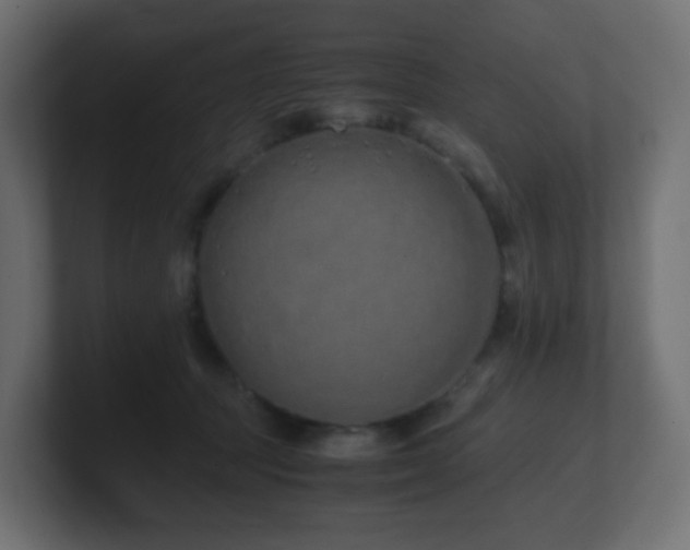 X0000101100369200806261517