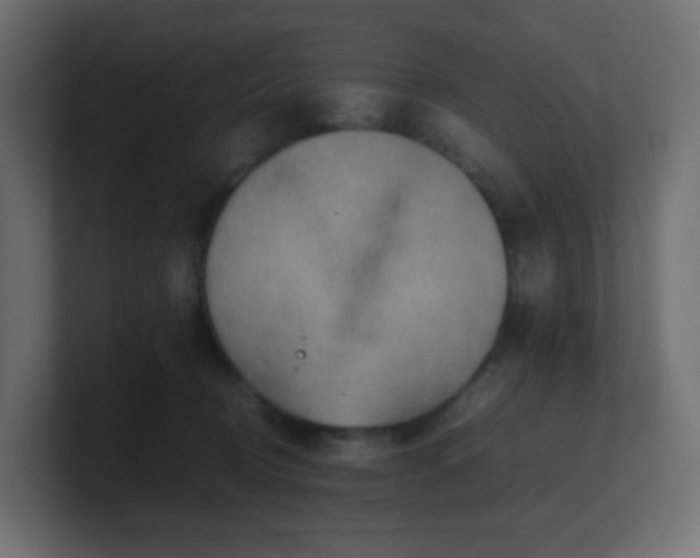 X0000101100370200806261517