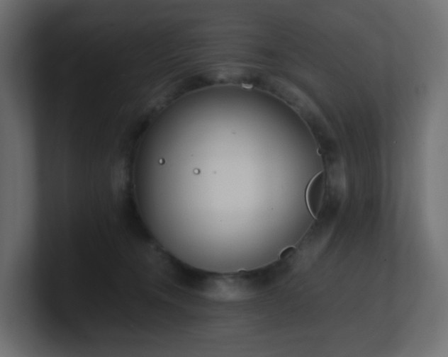 X0000101100372200806261517