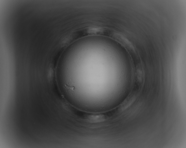 X0000101100375200806261517