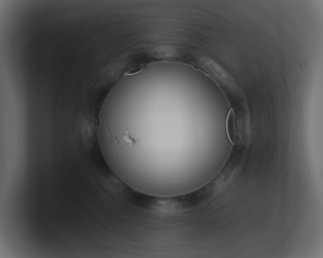X0000101100376200806261517