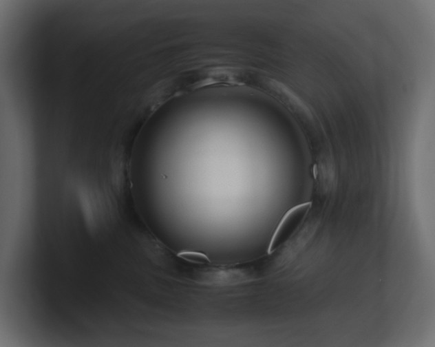 X0000101100379200806261517