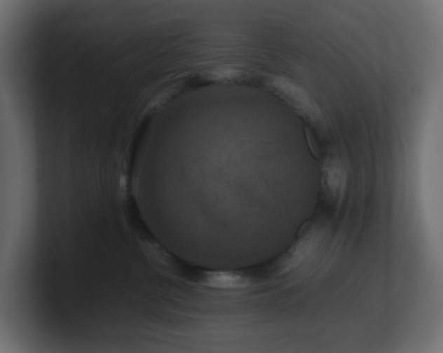X0000101100380200806261517