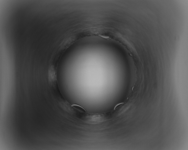 X0000101100384200806261517