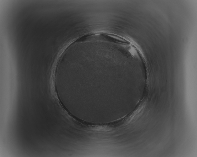X0000101100385200806261517