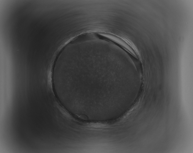 X0000101100389200806261517