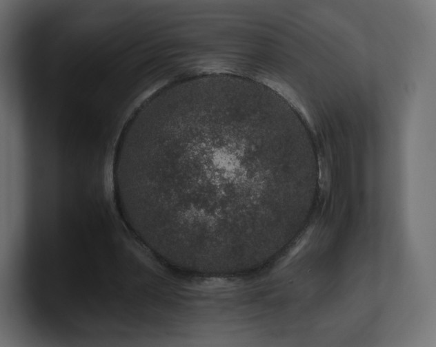 X0000101100390200806261517