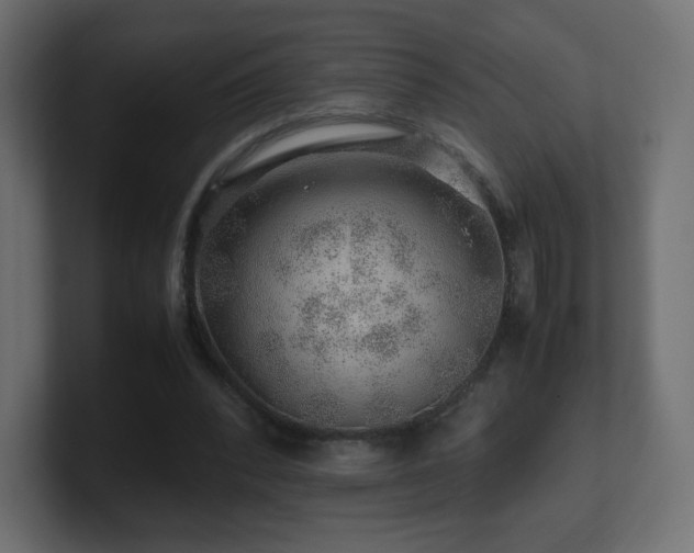 X0000101100392200806261517