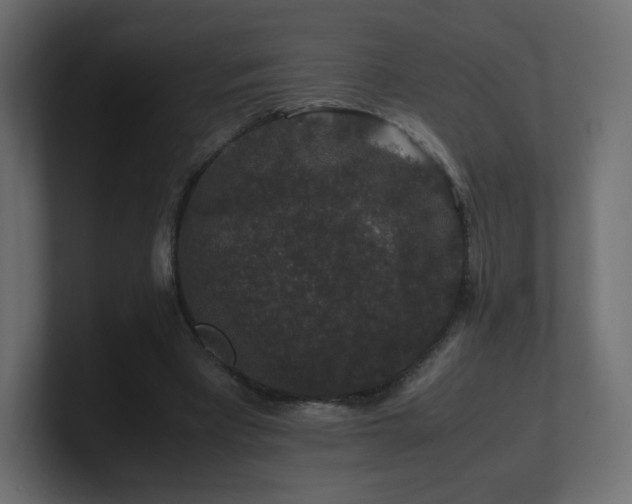 X0000101100393200806261517