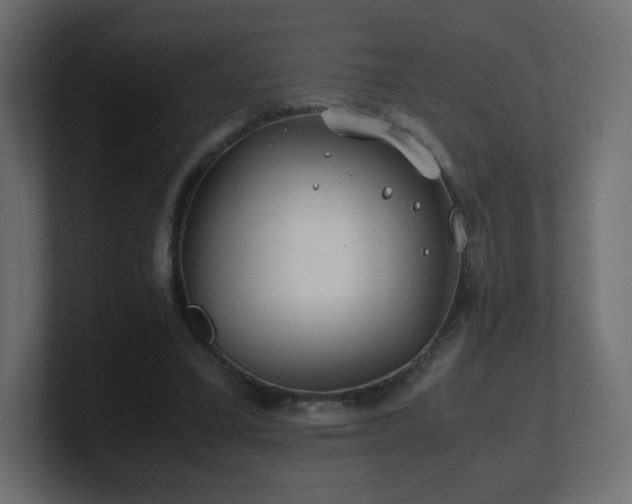 X0000101100395200806261517