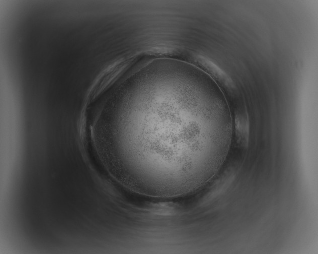 X0000101100396200806261517